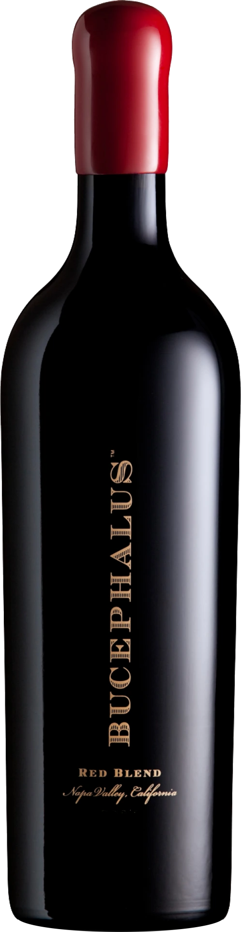 Black Stallion Bucephalus