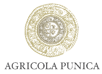 Agricola Punica