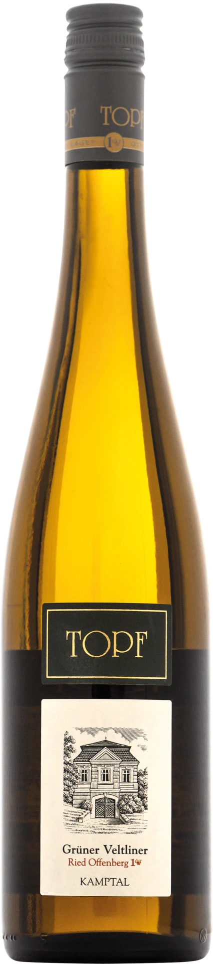 Grüner Veltiner Ried Offenberg 1. ÖTW