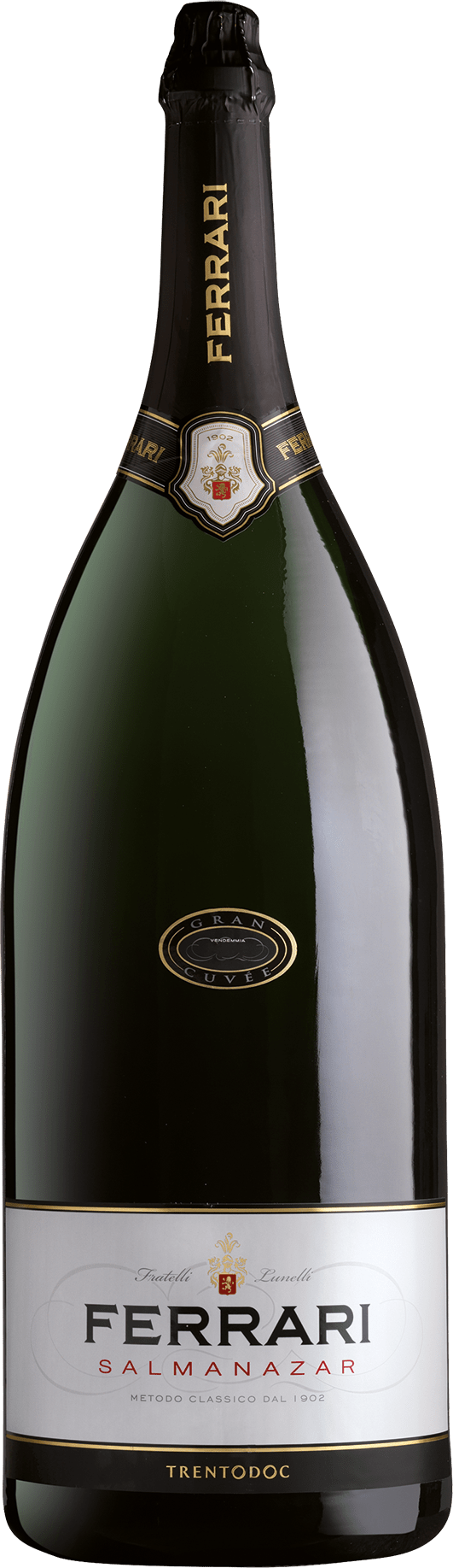 Brut Trentodoc Salmanazar