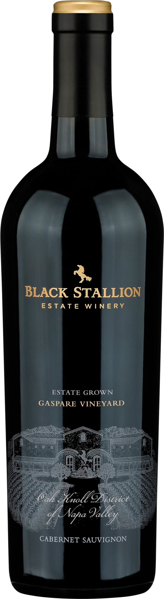 Black Stallion Gaspare