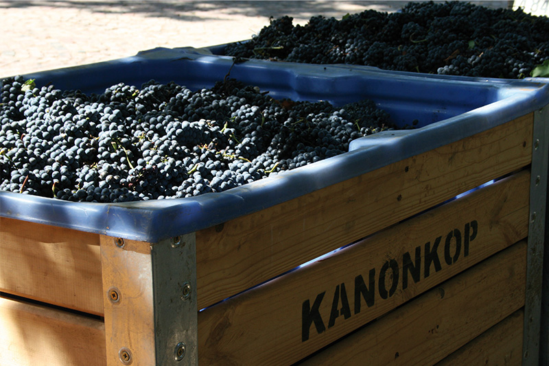 Kanonkop-CMS-Image-4