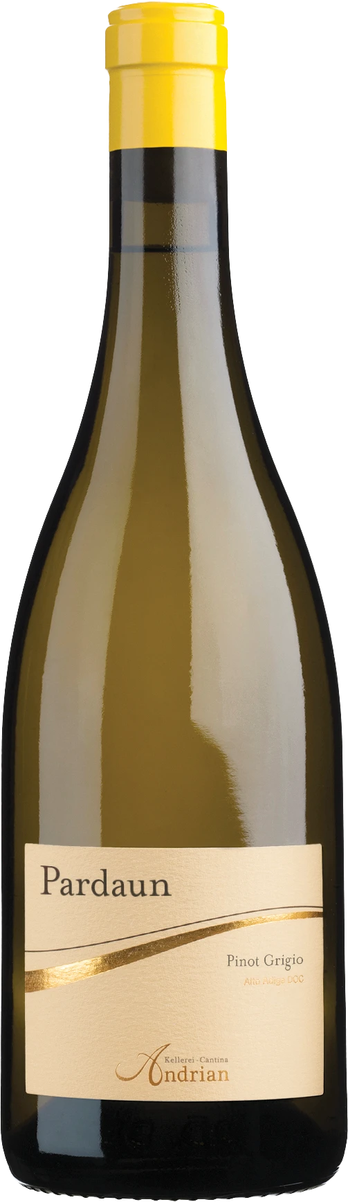 Pardaun Pinot Grigio DOC