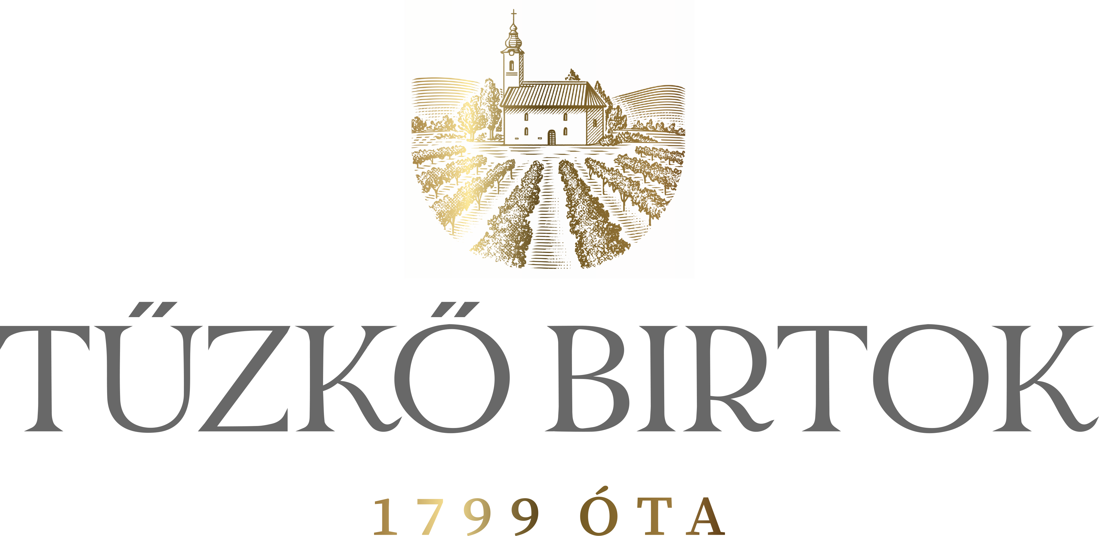 logo_Tüzkö