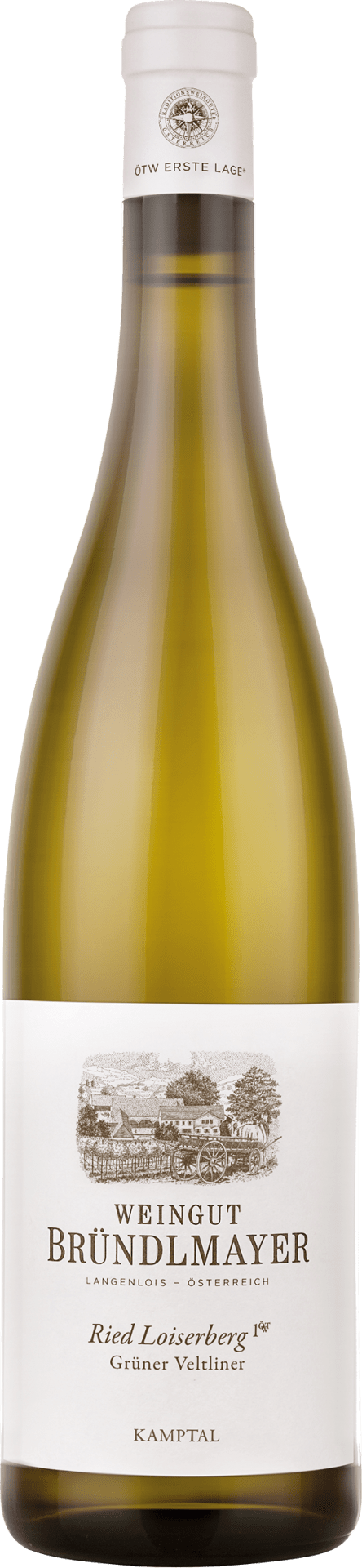 Grüner Veltliner Loiserberg Kamptal DAC 1ÖTW