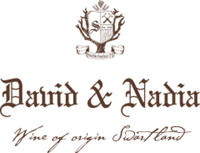 logo_David & Nadia