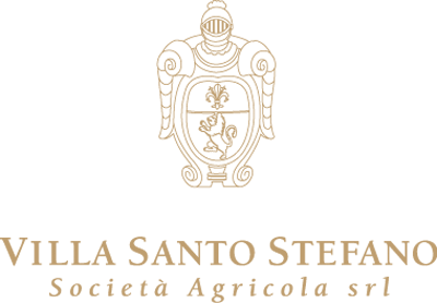 logo_Villa Santo Stefano