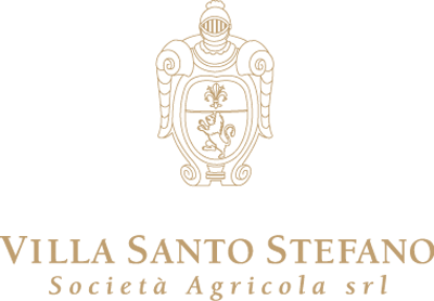 Villa Santo Stefano