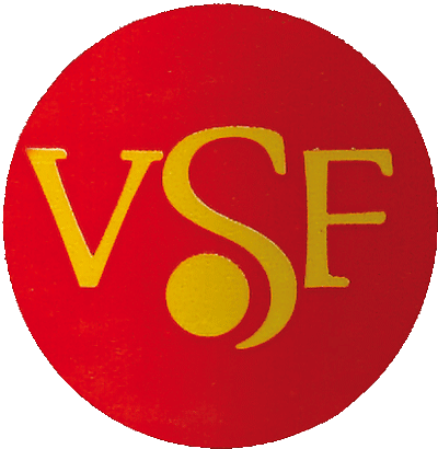 logo_Villa Santa Flavia