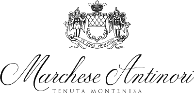 logo_Tenuta Montenisa