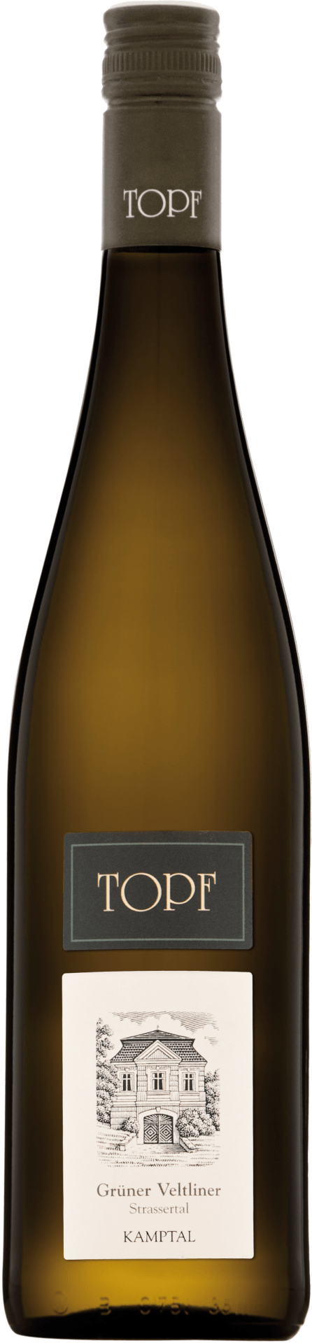 Grüner Veltliner Strassertal Kamptal DAC