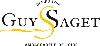 logo_Guy Saget