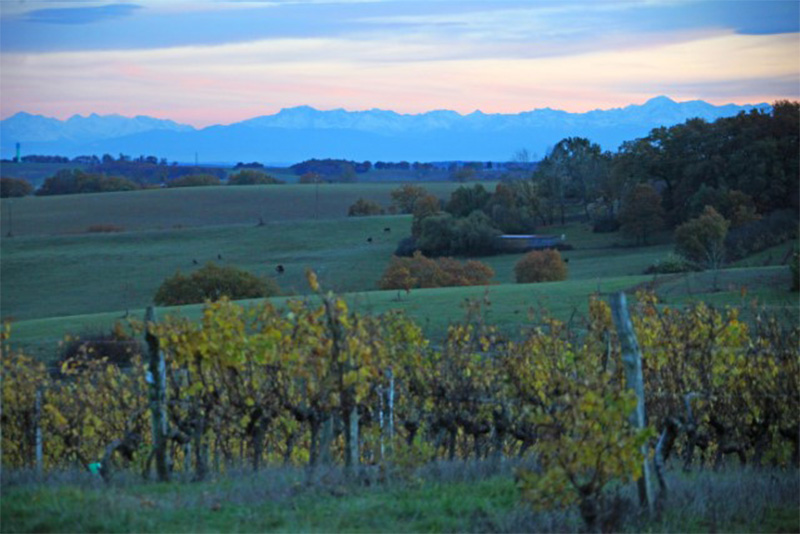 Plaimont-CMS-Image-3 Plaimont-CMS-Image-3