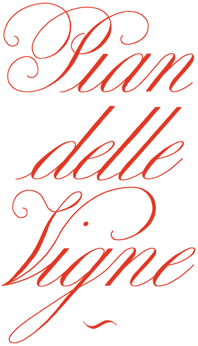 logo_Pian delle Vigne