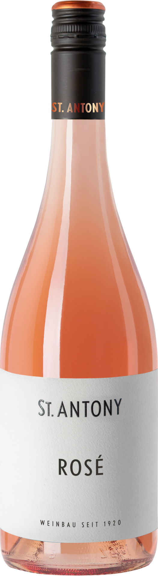 Pinot Noir Rosé 