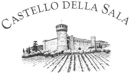 logo_Castello della Sala
