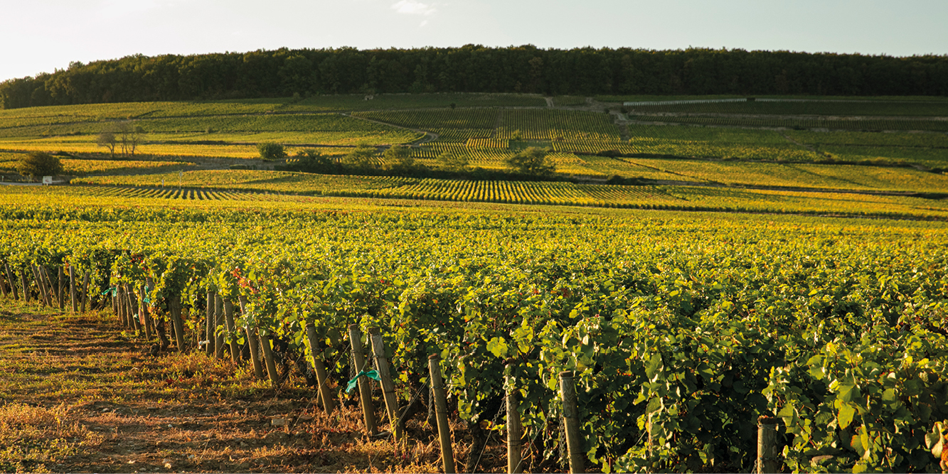 logo_Beaujolais