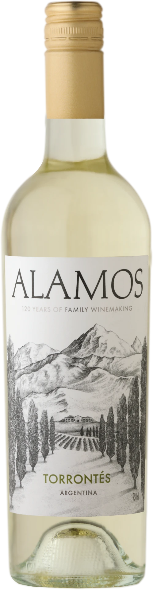 Alamos Torrontés